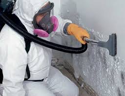 Best HVAC Mold Inspection and Cleaning  in Cheswold, DE